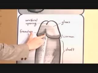 Learn What penis Is film